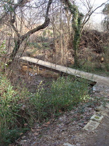Picture 42 of James River Hike 010210