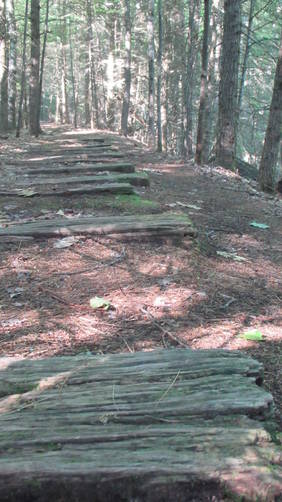 Old wooden rail ties protrude from the trail substrate