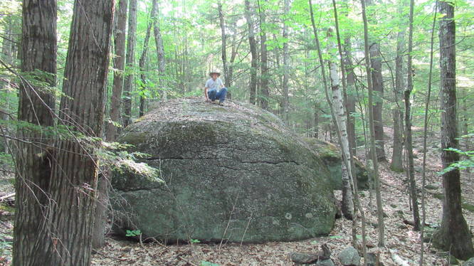 Large Glacial Erratic off to the side of the rail trail