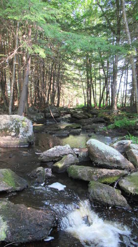 Looking upstream of Jaquith Brook