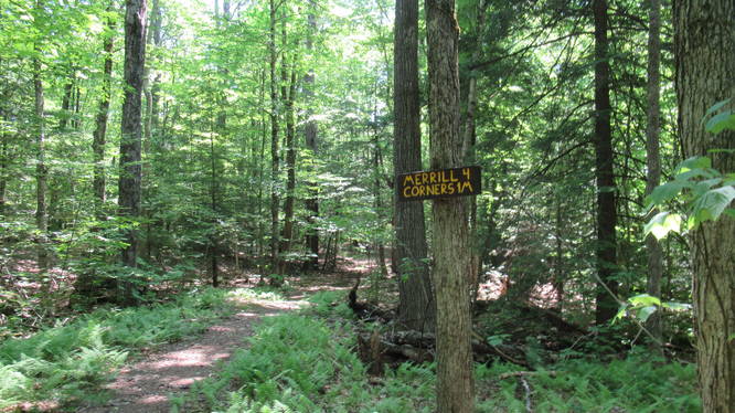 The end of North Pond trail  marked by wooden signs