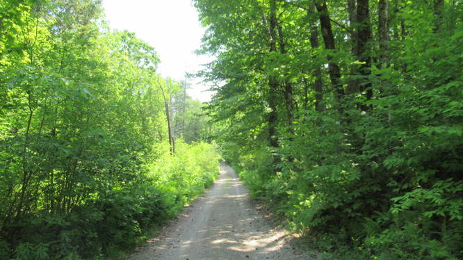 The trail is no longer blazed  and resembles a class VI road