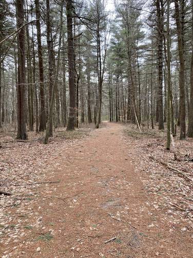 Jerimoth Hill Trail
