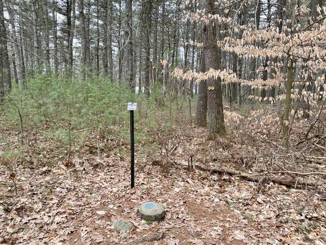 Jerimoth Hill's US Coast & Geodetic Survey marker