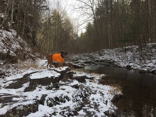 Picture 15 of Jerrys Run Hike 123016