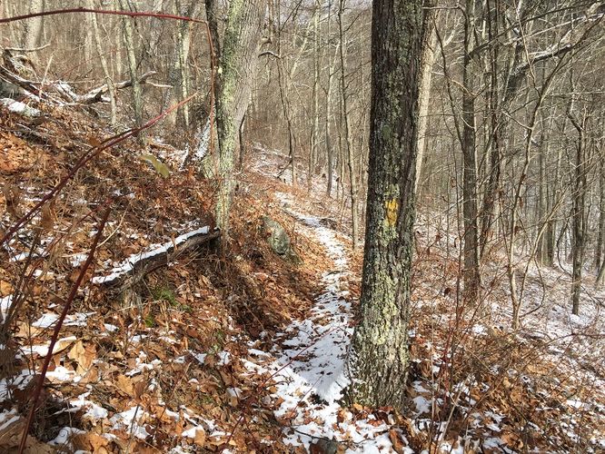 Picture 8 of Jerrys Run Hike 123016