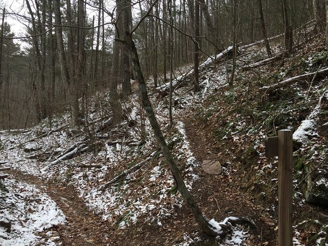 Picture 7 of Jerrys Run Hike 123016
