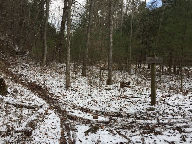 Picture 6 of Jerrys Run Hike 123016