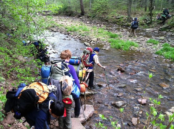 Default image for Jerrys Run Hike, a 7.8-mile trail in West Augusta, VA (US)