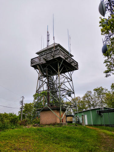 Picture 2 of Joanna Bald Lookout Tower Hike 052817