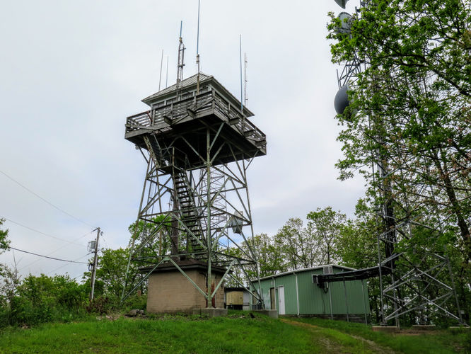 Picture 6 of Joanna Bald Lookout Tower Hike 052817