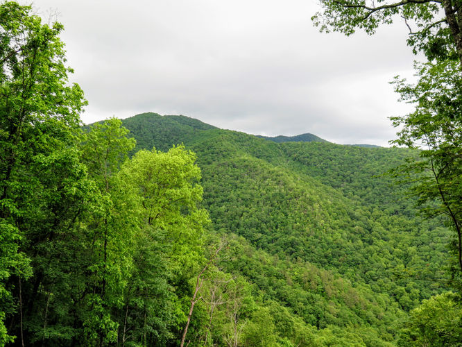 Picture 13 of Joanna Bald Lookout Tower Hike 052817
