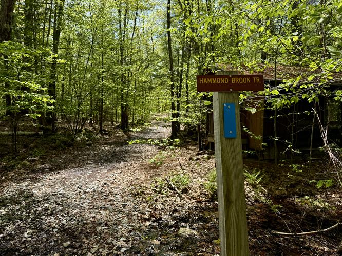 Hammond Brook Trail (blue blazes)