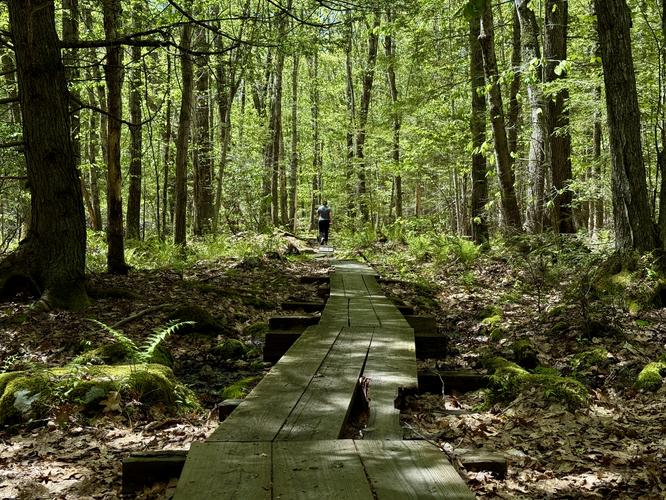Boardwalk crosses a muddy section along the Hammond Brook Trail