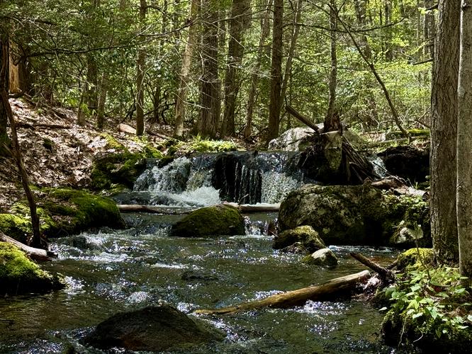 Tiny cascade in Hammond Brook