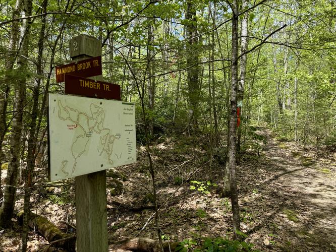 Timber Trail (red blazes)