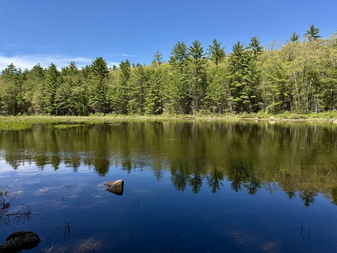 View of Joe English Brook