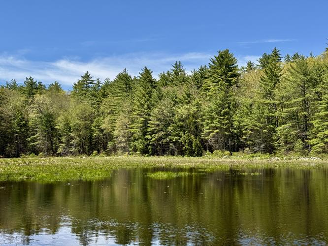 Joe English Brook (pond)
