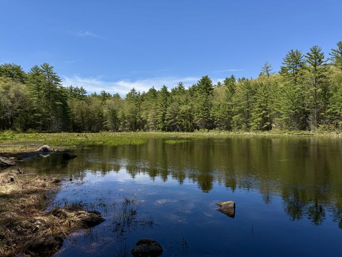 Late spring view of Joe English Brook