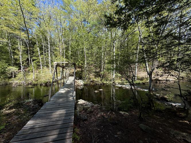Footbridge crosses Joe English Brook