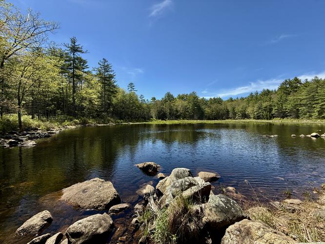 Default image for Joe English Ledge Loop Hike, a 1.5-mile trail in Amherst, New Hampshire (US)