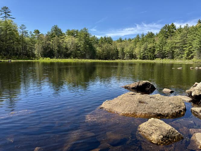 Eastern shore view of Joe English Brook