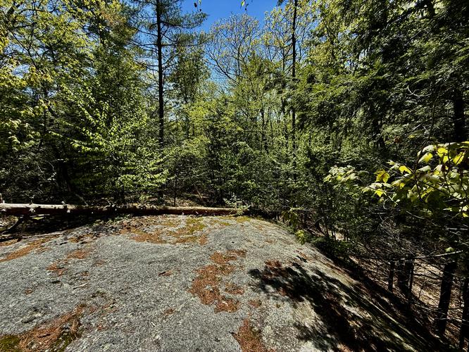 Top of the ledges