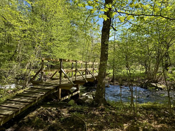Bridge crosses a brook to reach the pond and parking area