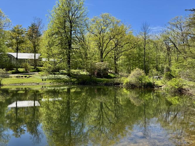 Pond view