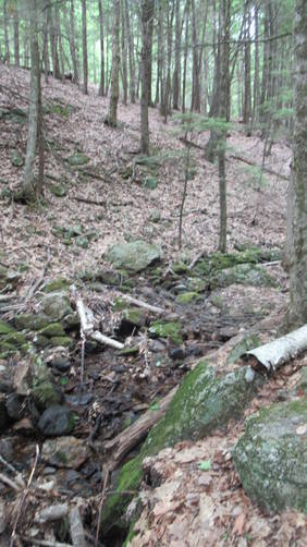 Trail substrate along stream