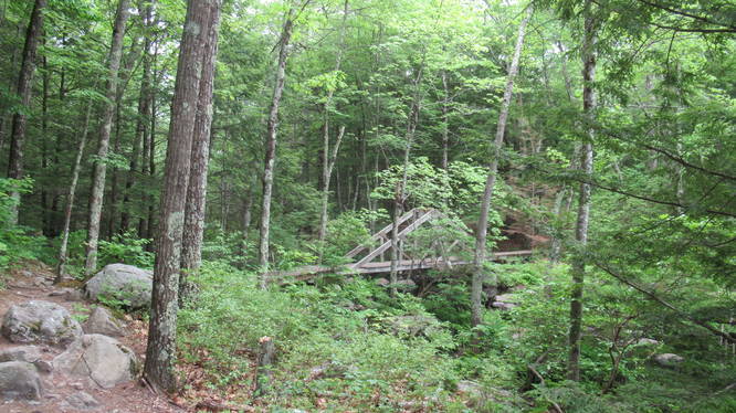 Wooden bridge to assist crossing