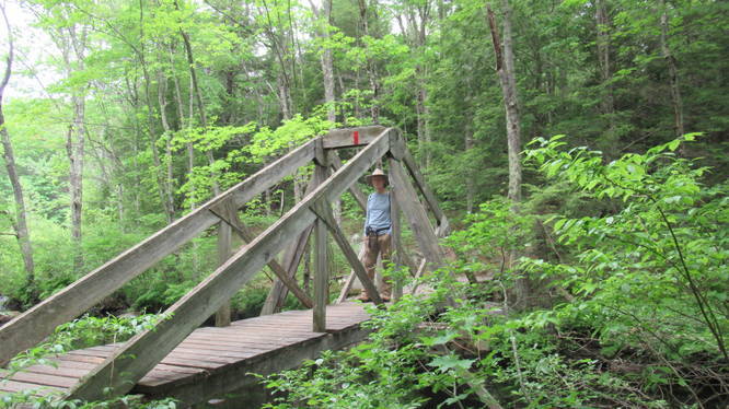 Wooden bridge to assist crossing