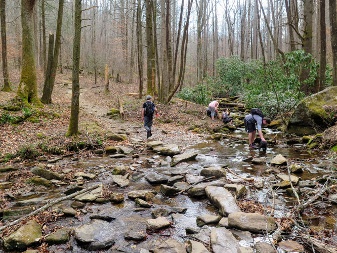 Picture 7 of John Rock and Cedar Rock Falls Hike 021217
