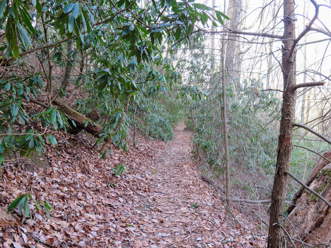 Picture 25 of John Rock and Cedar Rock Falls Hike 021217