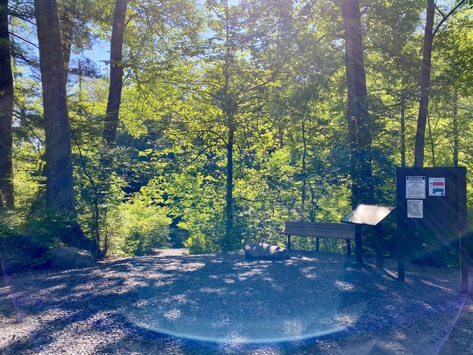 Trailhead at the Poe Paddy State Park boat launch