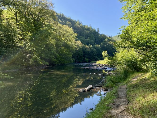 View of Penns Creek from the trail