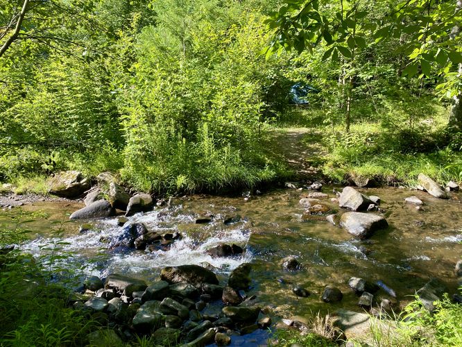 Creek crossing
