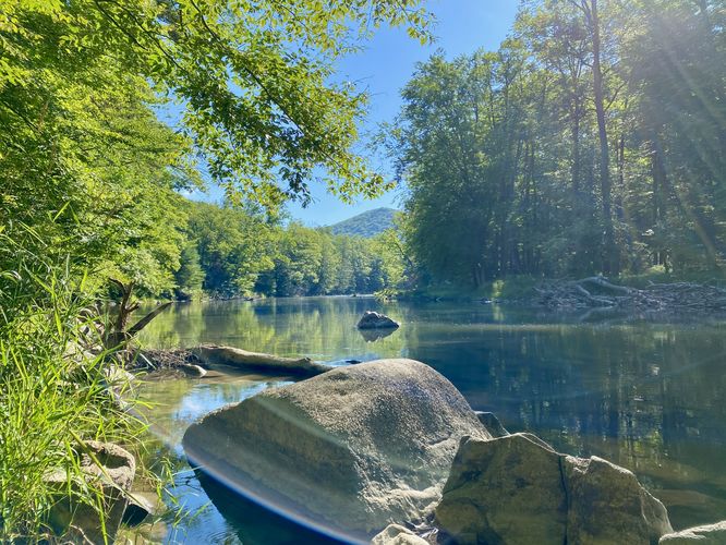 Default image for John & Ann Snyder Trail, a 0.6-mile trail in Woodward, PA (US)