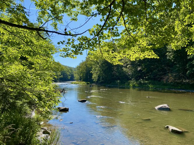 View of Penns Creek
