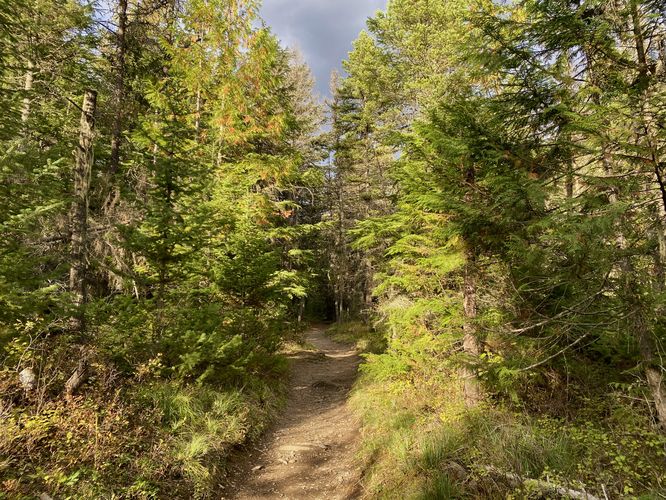 Hiking up the trail to reach Johns Lake