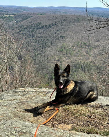Johnson Cliff Vista via Mid State Trail - Johnson Cliff  album
