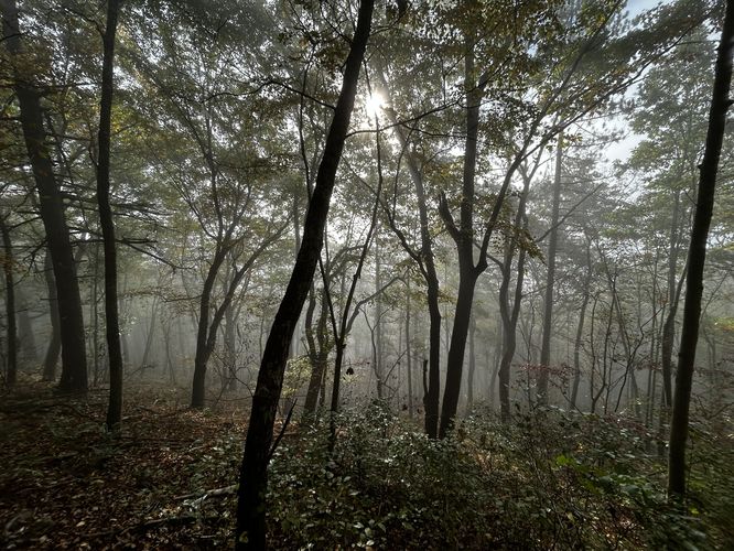Picture 3 of Johnson cliff foggy morning below