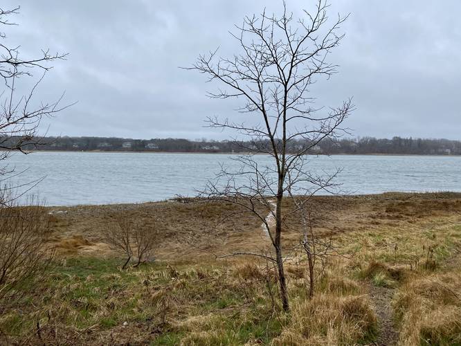 View of Orleans Cove