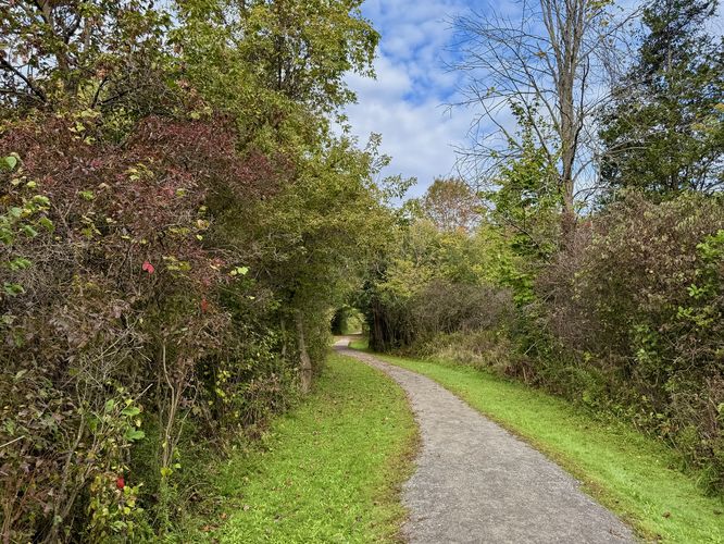 Default image for Jones Creek Trail, a 0.4-mile trail in Mallorytown, ON (CA)