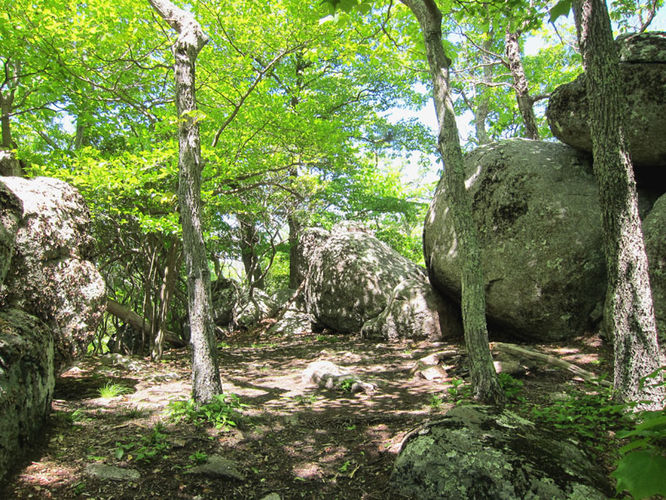 Picture 10 of Jones Mountain Hike 052315