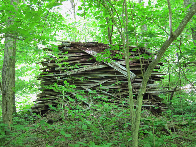 Picture 17 of Jones Mountain Hike 052315