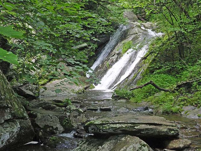 Default image for Jones Run and Doyles River Hike, a 6.6-mile trail in Crozet, VA (US)