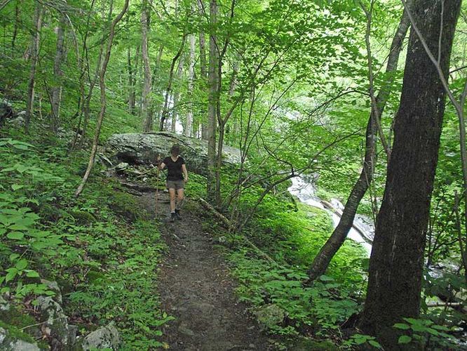 Picture 10 of Jones Run and Doyles River Hike 061309