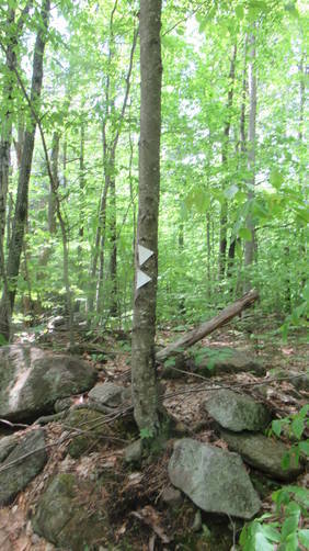 White Trail Blaze markers point the way to Scots Trail