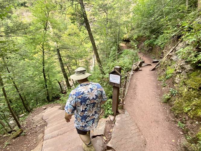 Split trail to the Upper Kaaterskill Falls